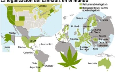 Consumidores de marihuana en Uruguay dejan el mercado negro por la farmacia