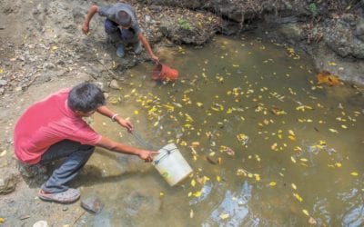 Nicaragua comienza a enfermarse producto de los efectos del cambio climático