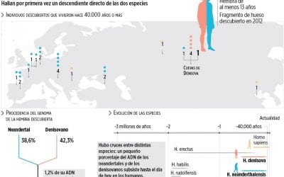 Hallan restos de una nia nacida de 2 especies humanas distintas