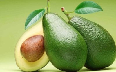 Descubren el poder antiinflamatorio de la semilla de aguacate