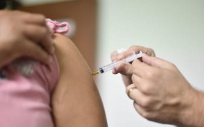 Cerca de 300 mil dosis de vacunas contra la influenza han sido colocadas hasta la fecha