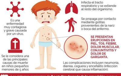 ante los brotes registrados en Argentina y otros países recomiendan vacunarse