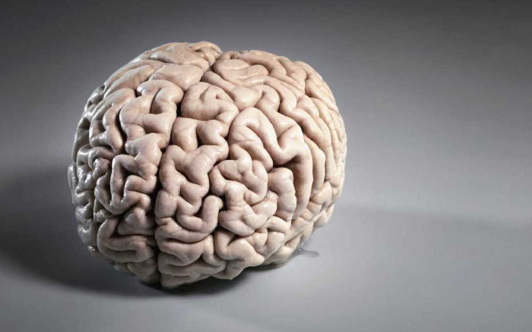 ¿Cuáles son los síntomas de la falta de oxígeno en el cerebro?